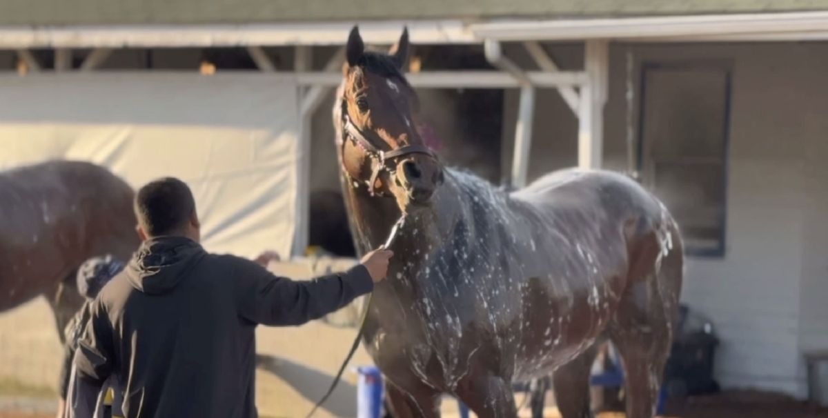Jack Wolfe '68 Derby Spotlight